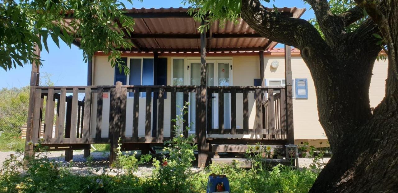 The Farm Tiny House - Tiny Casa Otel Chiclana de la Frontera Dış mekan fotoğraf