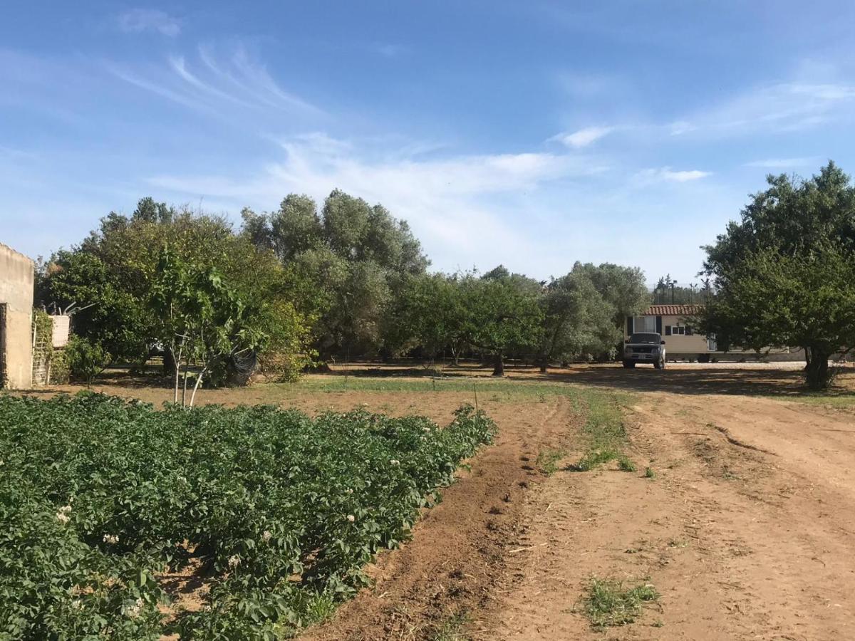 The Farm Tiny House - Tiny Casa Otel Chiclana de la Frontera Dış mekan fotoğraf