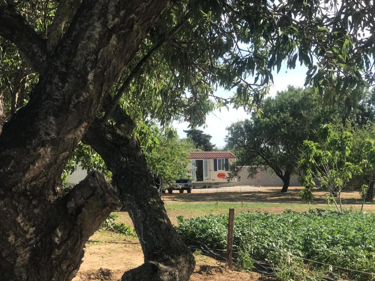 The Farm Tiny House - Tiny Casa Otel Chiclana de la Frontera Dış mekan fotoğraf